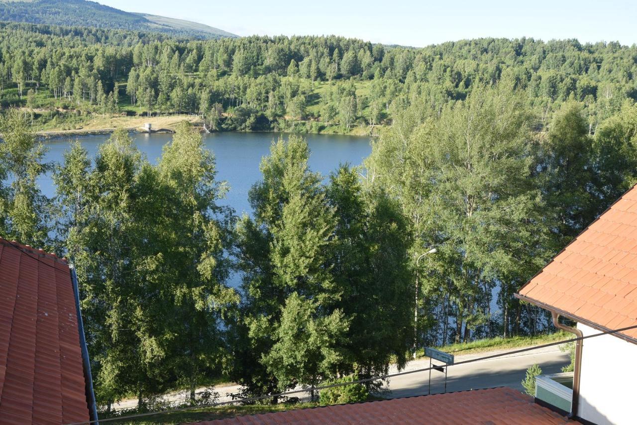 Mm Narcis Bed and Breakfast Vlasina Rid Εξωτερικό φωτογραφία