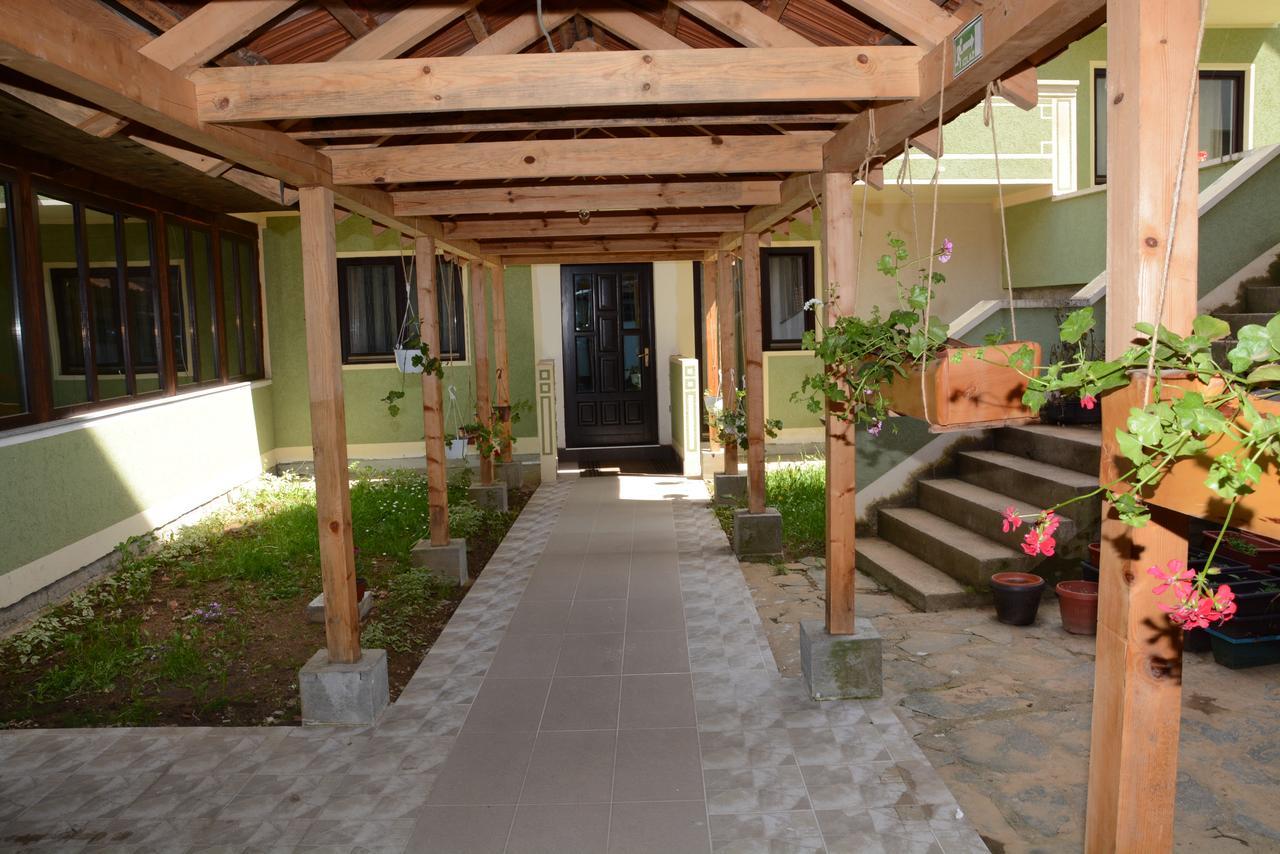Mm Narcis Bed and Breakfast Vlasina Rid Εξωτερικό φωτογραφία